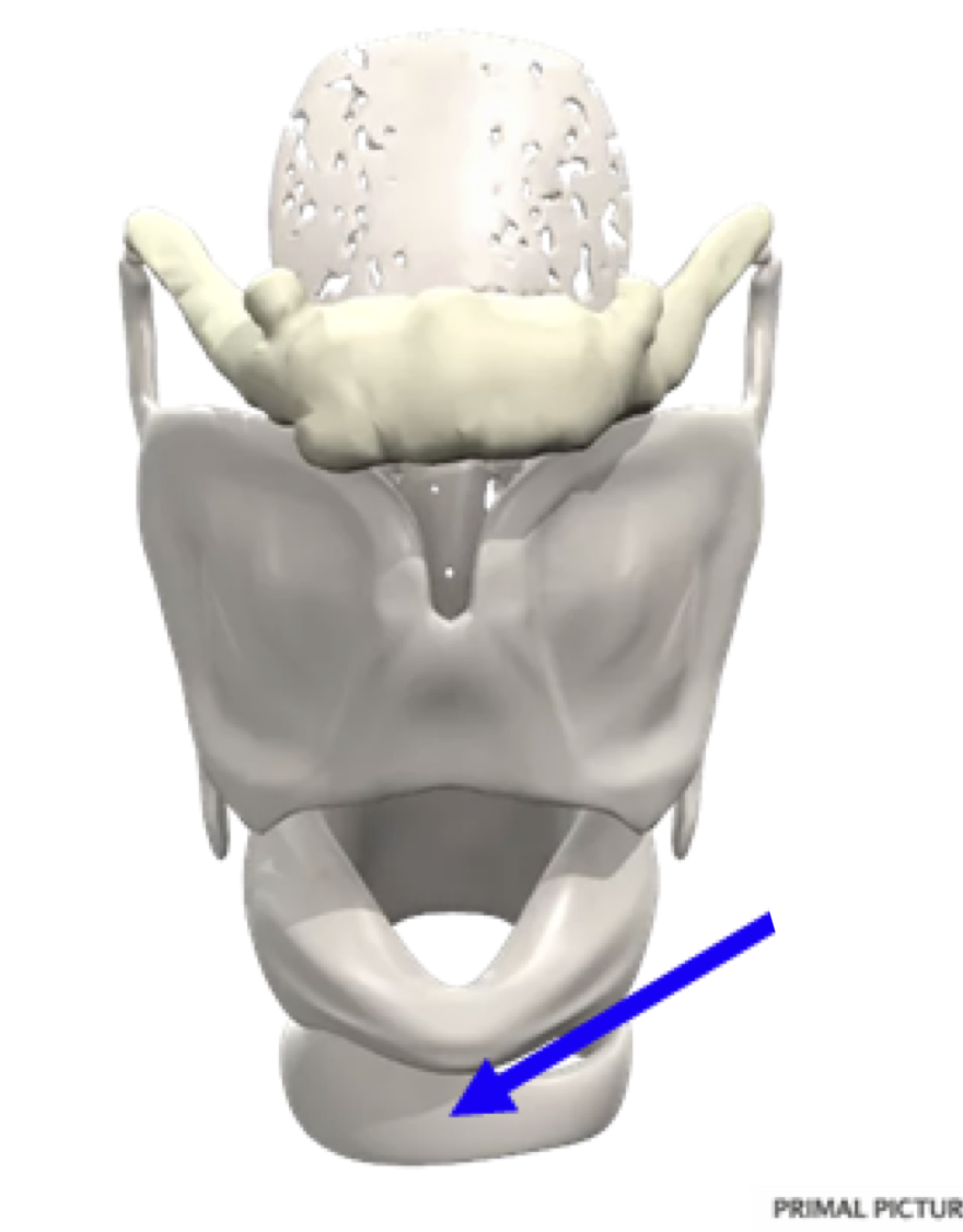 <p>what is this?</p>