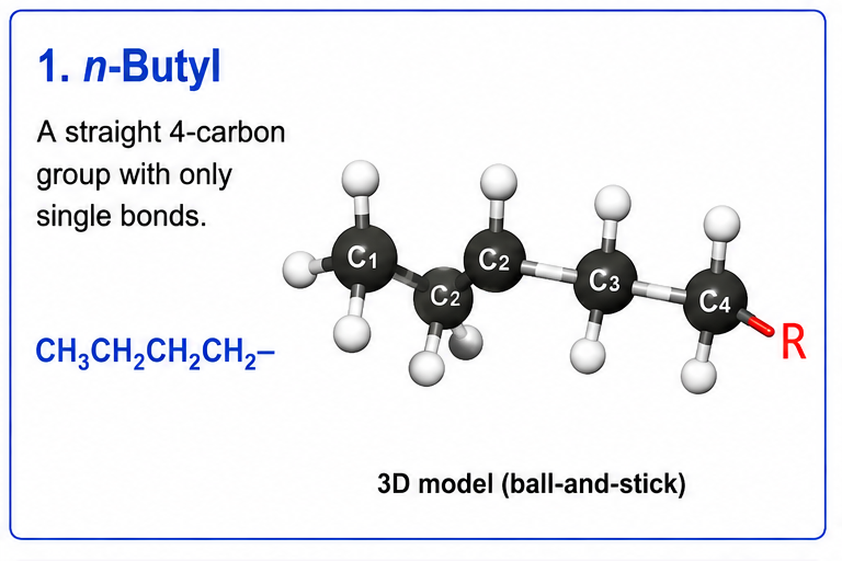 <p><strong>n-Butyl</strong></p><p><strong>CH₃CH₂CH₂CH₂–</strong></p><ul><li><p><strong>CH₃</strong> = 1 carbon</p></li><li><p><strong>CH₂ + CH₂ + CH₂</strong> = 3 more carbons</p></li></ul><p><strong>1 + 3 = 4 carbons</strong> <span data-name="check_mark_button" data-type="emoji">✅</span></p>