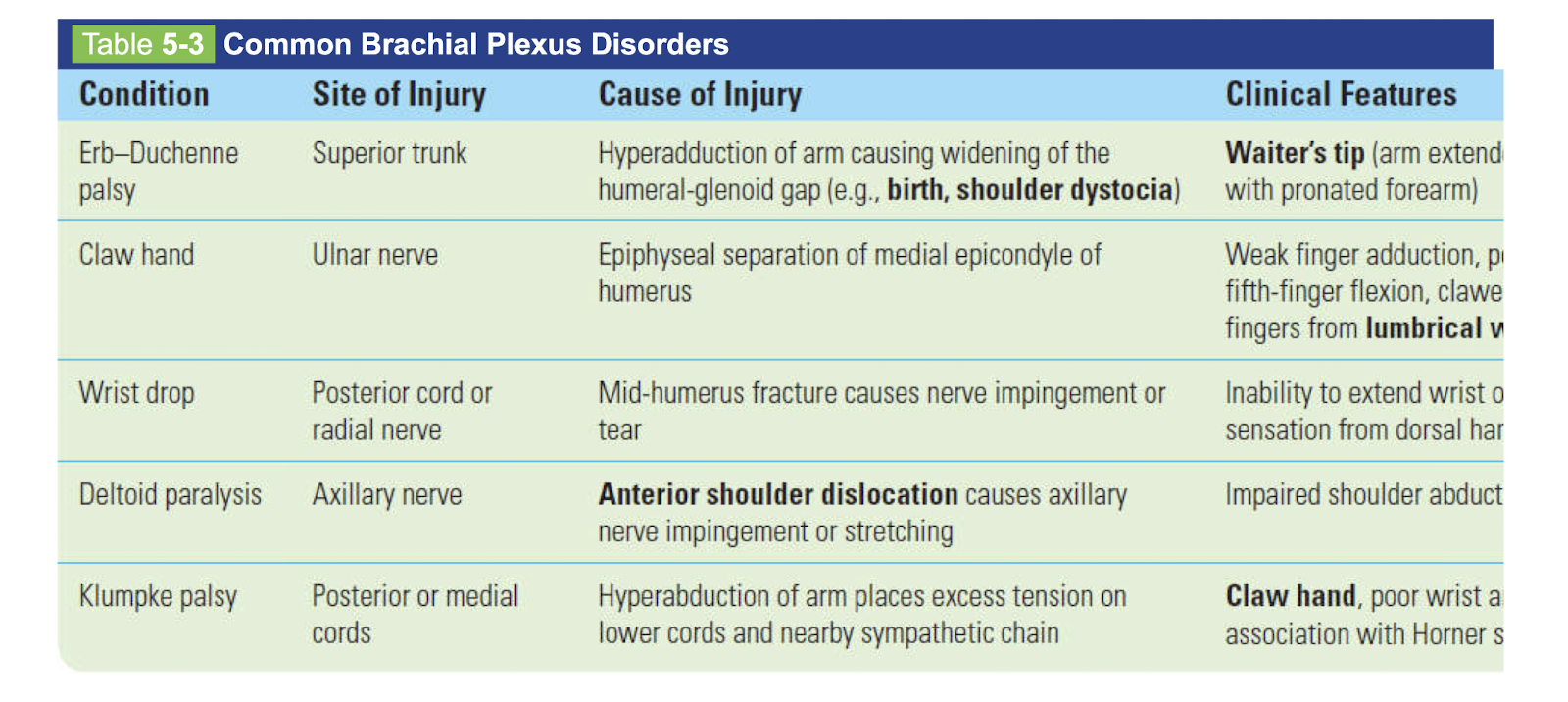 <p>Erb-Duchenne palsy: Superior trunk&nbsp;</p><p></p><p class="p1">Claw hand: Ulnar nerve&nbsp;</p><p class="p1"></p><p class="p1">Wrist drop: posterior cord/ radial nerve&nbsp;</p><p class="p1"></p><p class="p1">Deltoid paralysis: Axillary nerve&nbsp;</p><p class="p1"></p><p class="p1">Klumpske: posterior or medial cords (horanghae)</p>