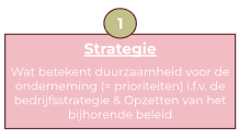 <p>Bouwsteen 1: strategie</p>