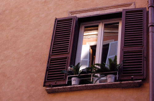 <p>window</p>