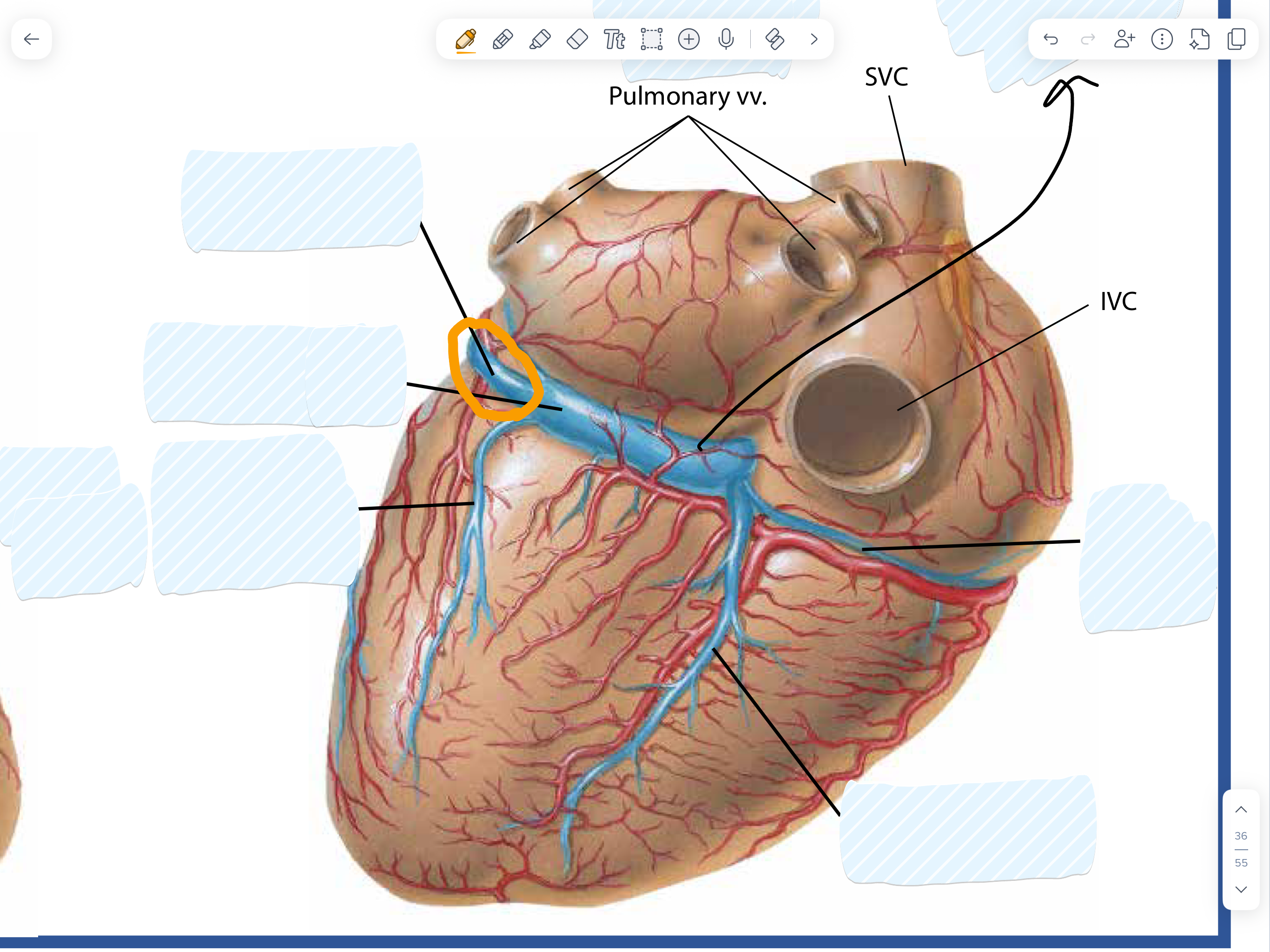 knowt flashcard image