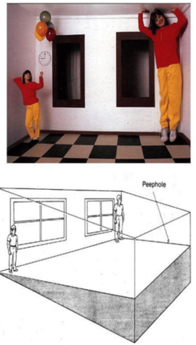 <p>Ames room:</p><p>- depth cues removed</p><p>- girl on the left is much further away but the perspective cues are manipulate</p><p>- Only works from a single vantage point and from one eye only! (done through a peep hole)</p>