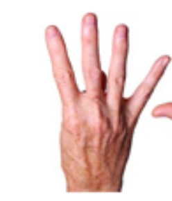<p>palm facing me hold up pointer, middle, ring, and pinky finger</p>