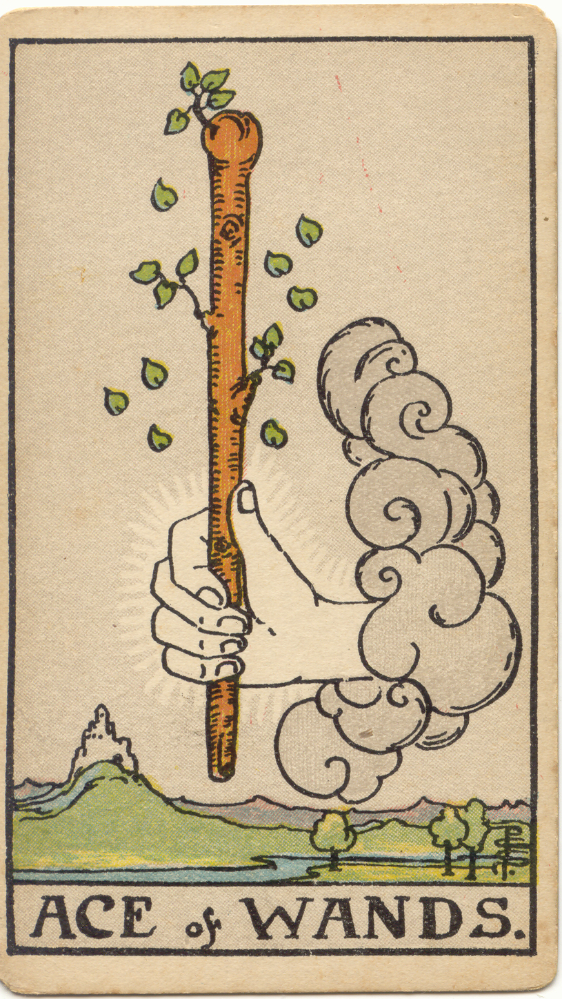 <p>Ace of Wands</p>