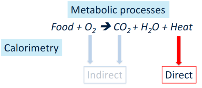<ul><li><p>Basic unit of heat is the calorie (cal), basic unit of energy expenditure is joule (J) ➔ 1 kcal (Cal) is 4.18 kJ</p></li><li><p>All metabolic processes → energy</p></li></ul><p></p>
