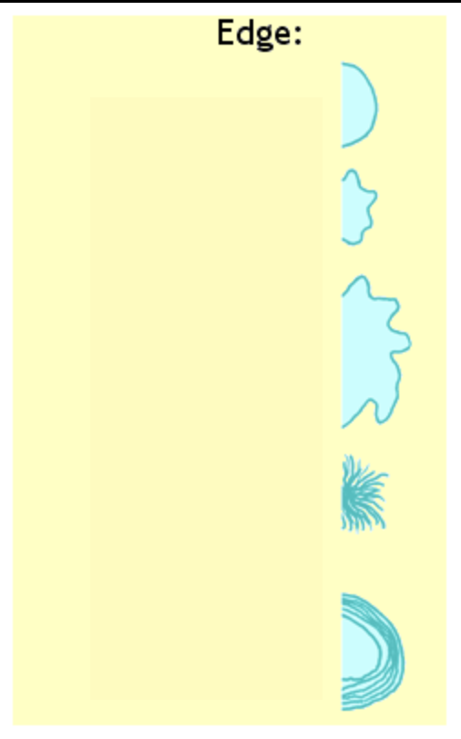 <p>What are the names of these edge morphologies from top to bottom?</p>
