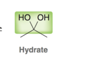 <p>hydrate/gem-diol</p>