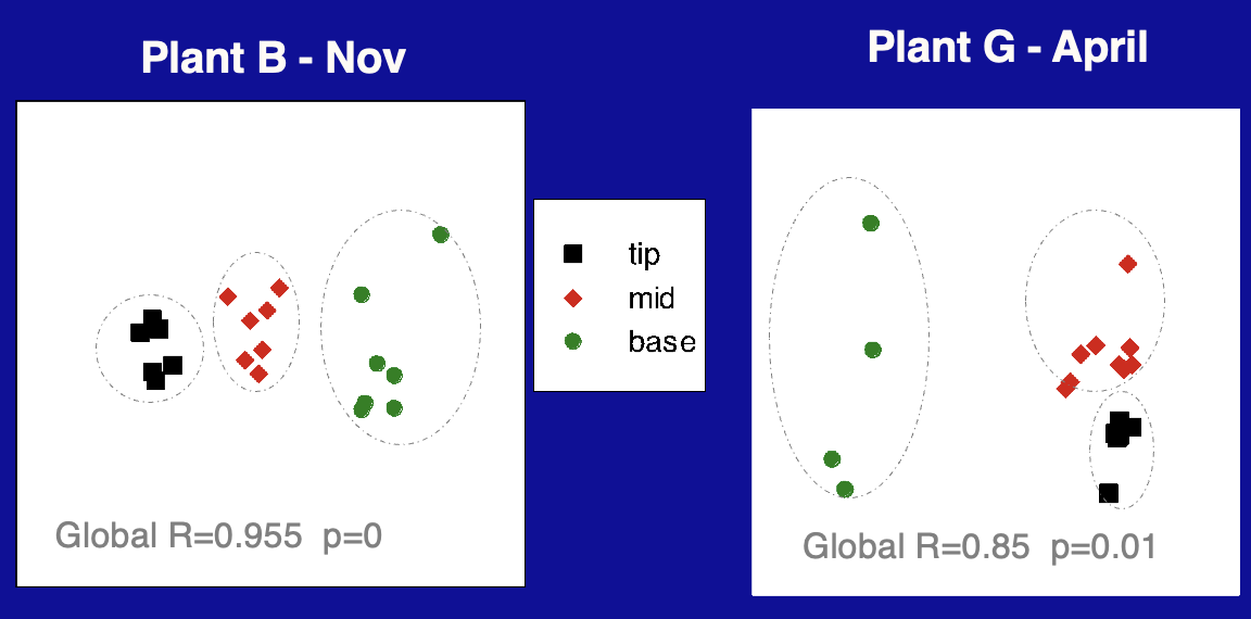 <p>Diff microbial comm. at diff regions of plant</p>