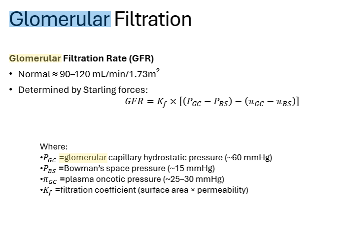 <p>90-120 mL/min</p>