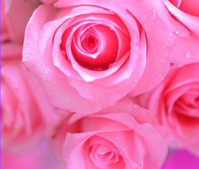 <p>Pink</p>