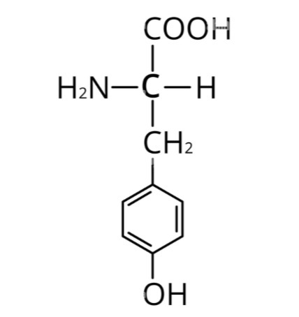 <p>Aromatique et polaire</p>