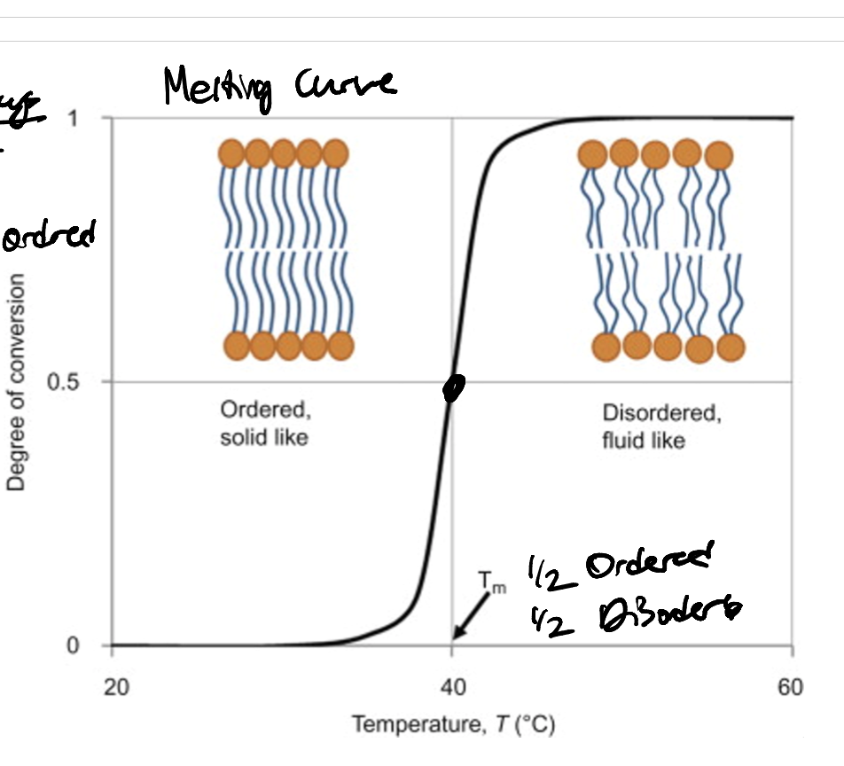 <p>How does cooperative event play into the melting curve?</p>