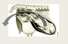 <p>What is being shown here?</p>