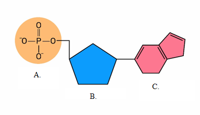<p>A, B, C</p>