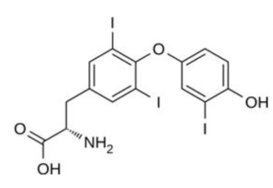 <p>What thyroid hormone is this?</p>