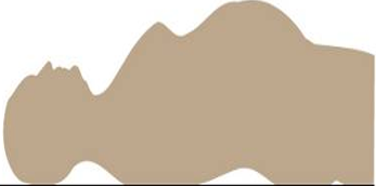 <p>c’est quel contour de l’abdomen</p>