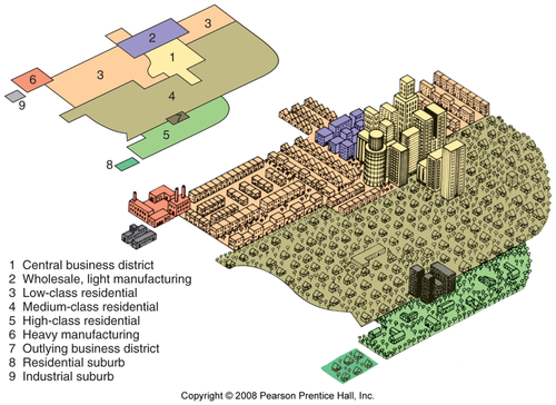 <p><span>An urban model that suggests that cities have multiple centers of development and activity, each with its own unique characteristics.</span></p>