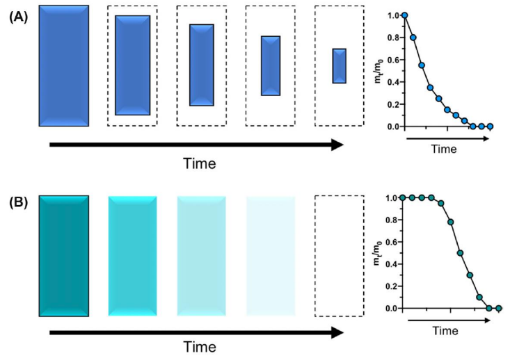<p>Surface = Water penetration is <strong>slower</strong> than polymer degradation, so erosion occurs only at the surface. Maintains bulk properties. </p><p></p><p>Bulk = Water penetrates the <strong>entire </strong>polymer faster than degradation occurs. Water uptake followed by erosion.</p>