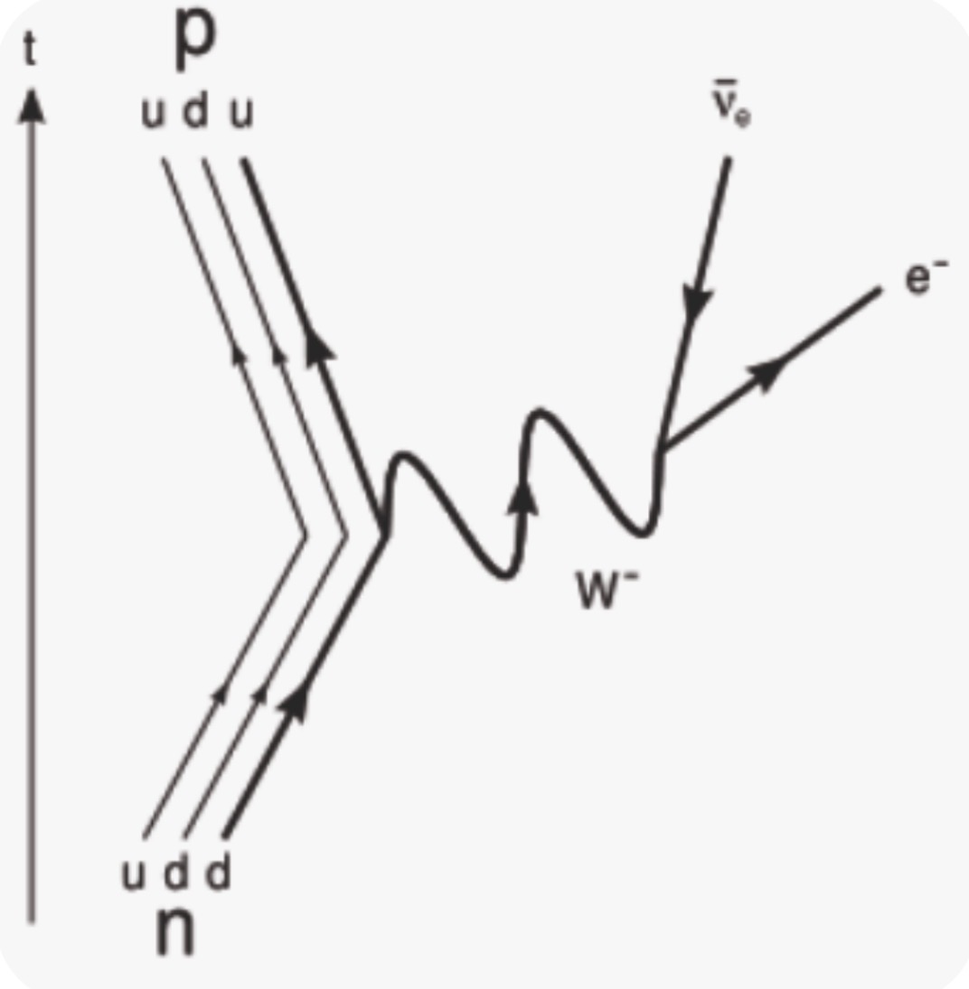 <p>$$n\rightarrow p+e^{-}+\overline{\nu}_{e}$$ </p><p>W- boson exchanged</p>