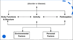 <p>International Classification of Functioning, Disability, and Health (ICFDH)</p>
