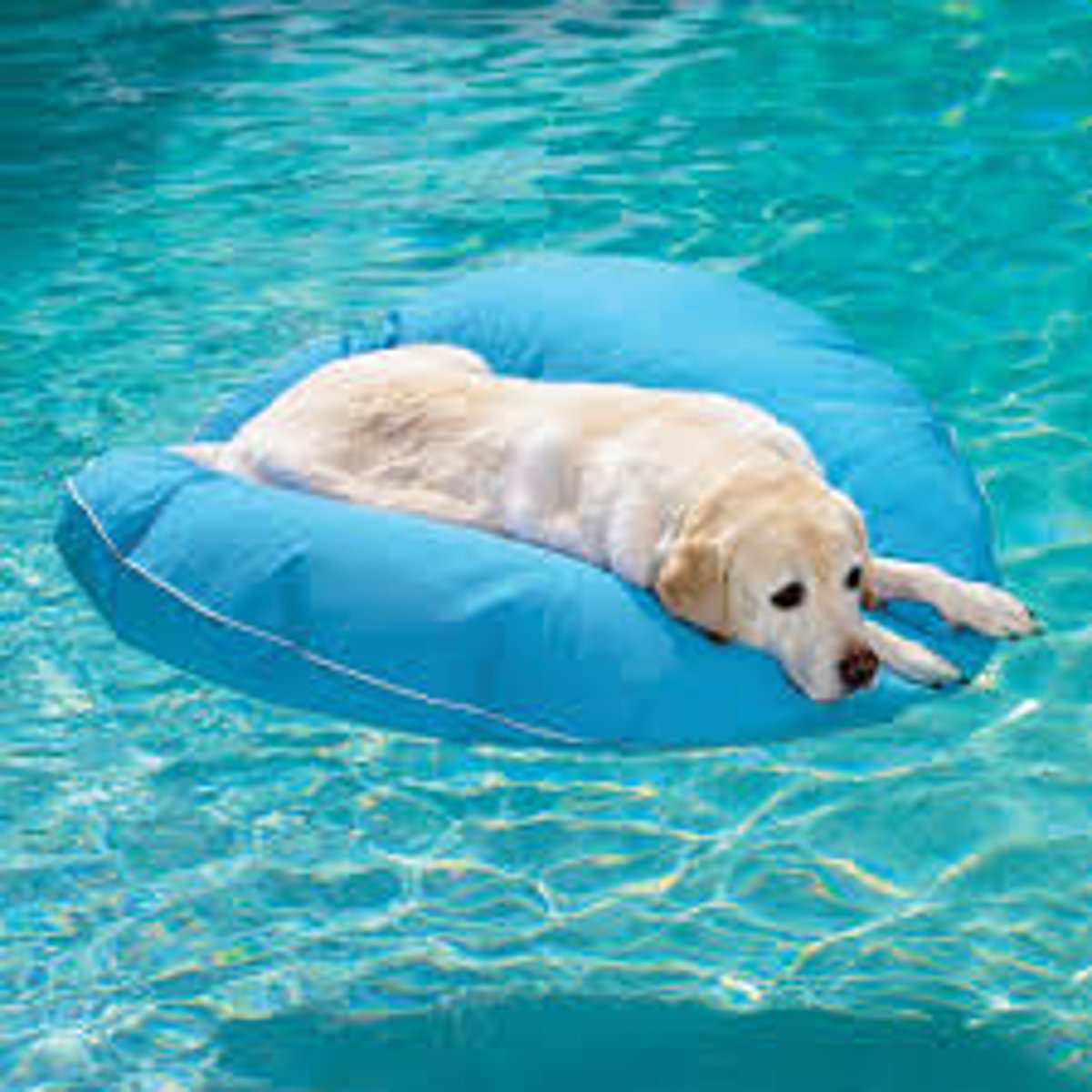 <p>ability to float</p>