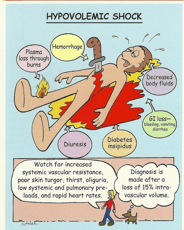 <p>Decreased blood volume</p><p class="p1">Decreased cardiac output</p><p class="p1">Decreased tissue perfusion</p>