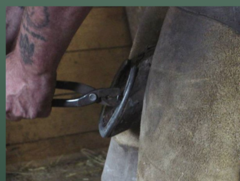 <p>what is happening here and with what tool</p>