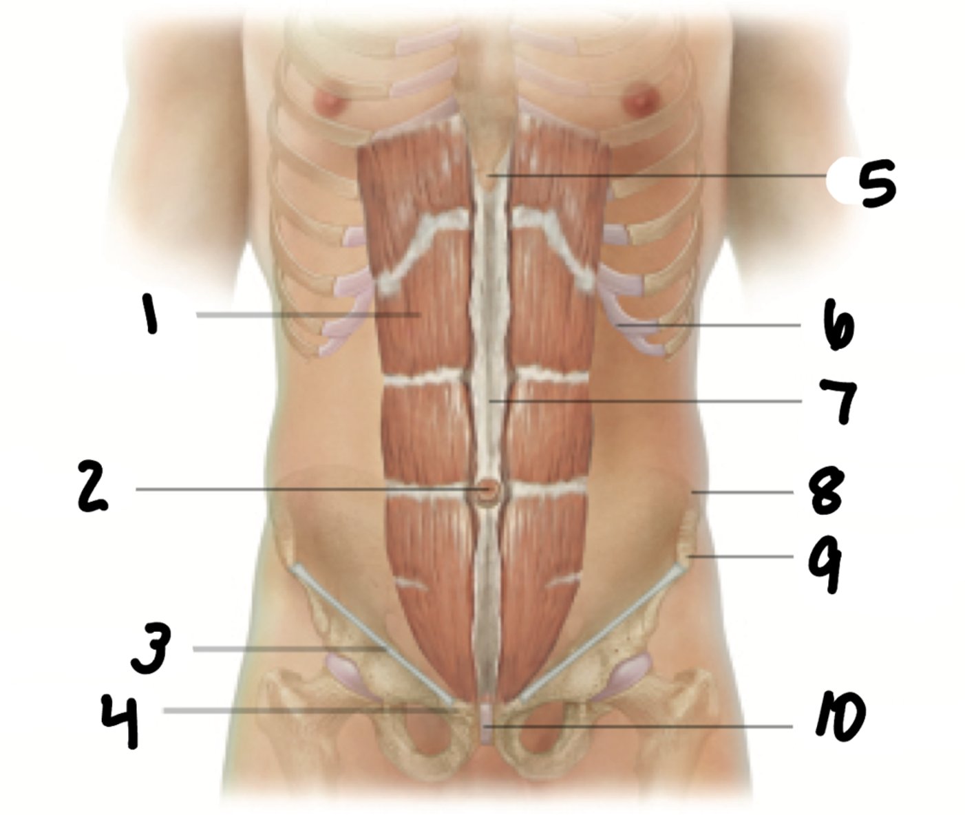 <p>7</p>