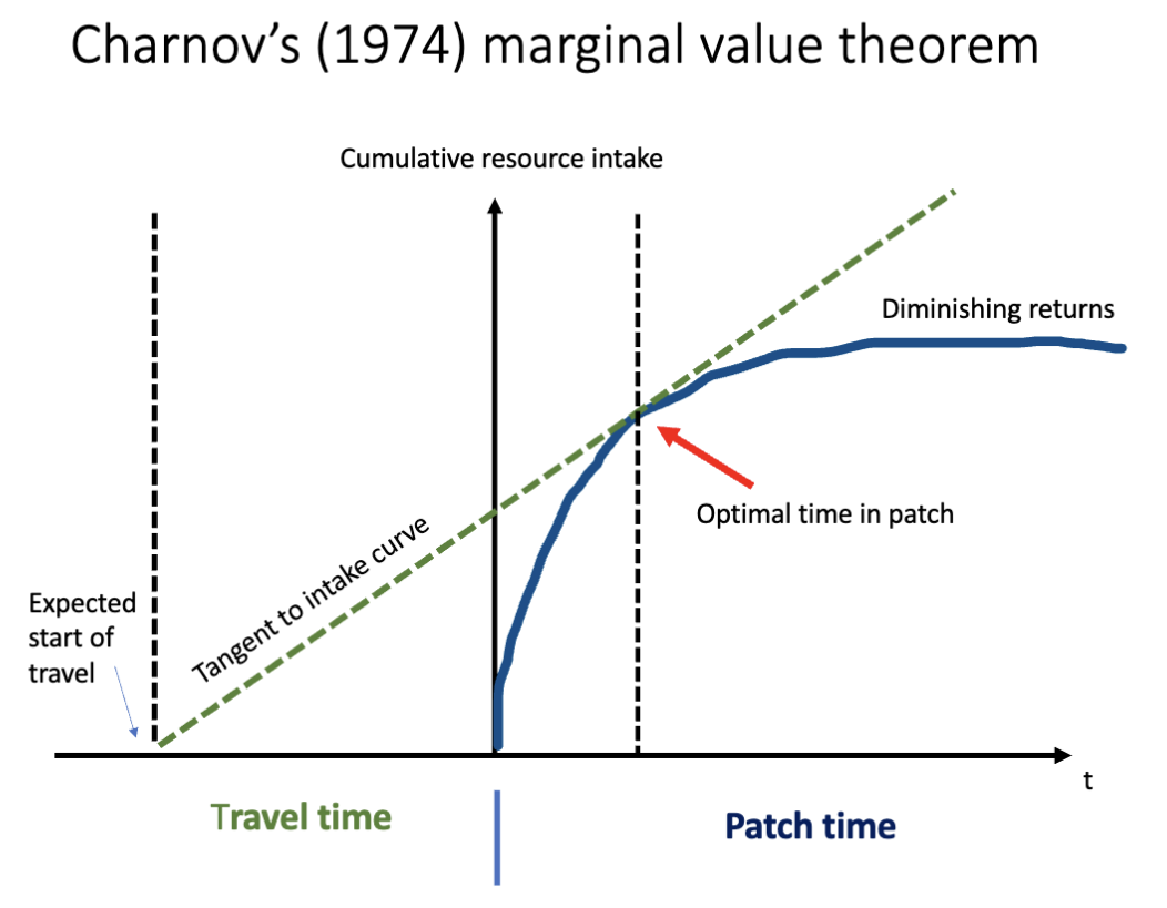 <p>explain this graph</p>