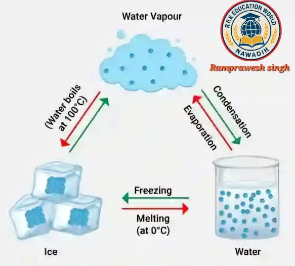 <p>melt</p>