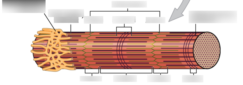 <p>bottom right most box</p>