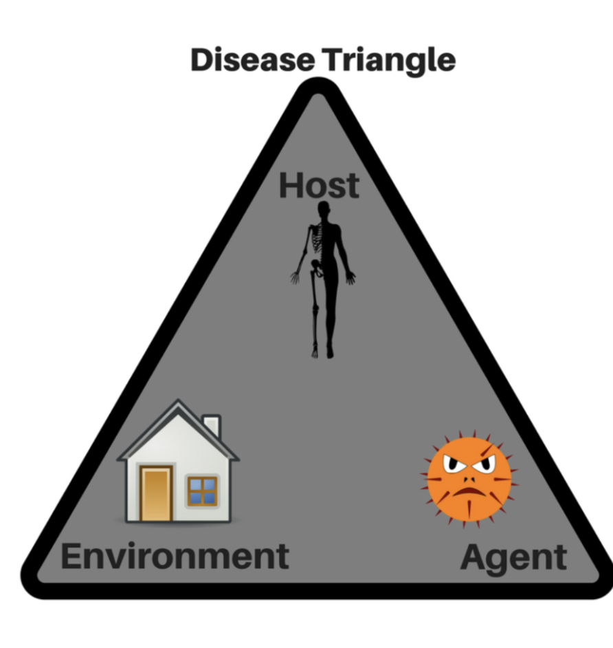 <ul><li><p>pathogenicity of microbe: virulence factors, nature of pathogen</p></li><li><p>resistance of host: immune status, age, nutrition</p></li><li><p>environment - how pathogens and hosts interact</p></li></ul><p></p>