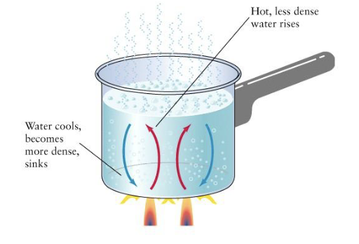 <p>Convection is heat transfer within a <strong>fluid (liquid or gas)</strong> by <strong>mass movement of particles</strong>. When a fluid is heated, particles gain energy, spread out, become <strong>less dense</strong>, and <strong>rise</strong>, while cooler, denser fluid <strong>sinks</strong>, forming <strong>convection currents</strong>. Example: <strong>boiling water currents</strong>. Hot air rises, and gases are less dense than liquids so gas sits on top (e.g., steam above water).</p><p></p>