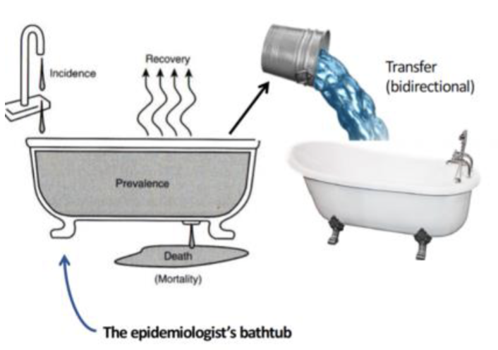 <ul><li><p>Factors that affect prevalence</p><ul><li><p>Incidence rate: the faucet</p></li><li><p>Recovery/cure rate: the steam</p></li><li><p>Death rate: the drain</p></li><li><p>Transfer (migration): the bucket</p></li></ul></li></ul><p></p>
