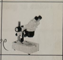 <p>a low powered microscope which provides a stereoscopic view of the sample, commonly used for dissection</p>