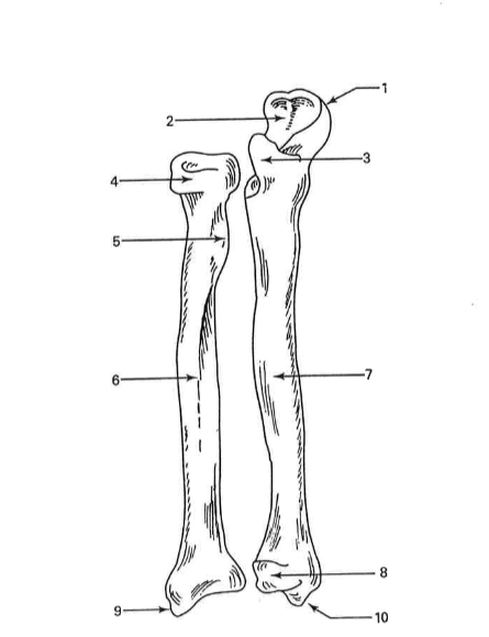 <p>6</p>