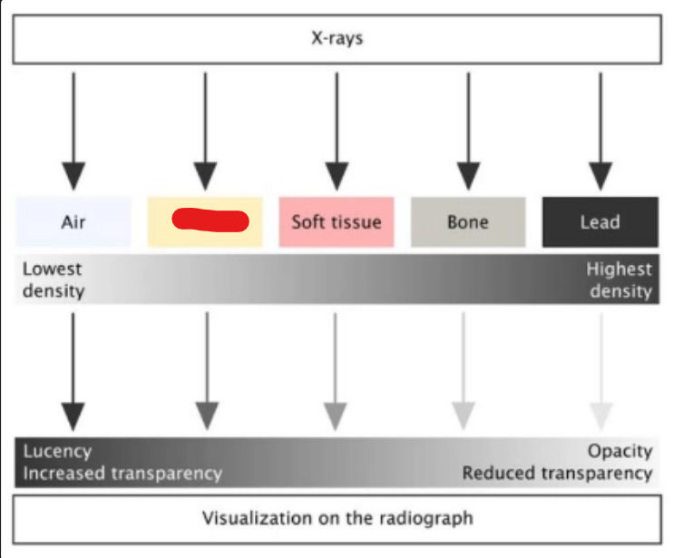 <p>what is it (Intro to Diagnostic Imaging)</p>