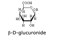 <p>The compound shown above is the <span style="line-height: 1.4;">β</span><span>-derivative</span> of the <span>D-glucuronic</span> acid. The <span style="line-height: 1.4;">α</span><span>-D-glucuronide</span> differs in configuration from the <span style="line-height: 1.4;">β</span><span>-derivative</span> at:</p><p>_</p><p><strong>A</strong></p><p>C-1.</p><p><strong>B</strong></p><p>C-2.</p><p><strong>C</strong></p><p>C-3.</p><p><strong>D</strong></p><p>C-4.</p>