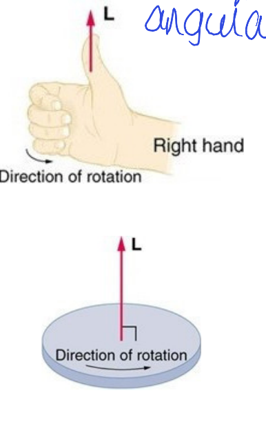 <p>thumb points in the direction of angular momentum</p>
