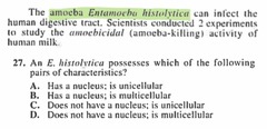 <p>A unicellular organism with a nucleus.</p><p>(Think of it like a bacteria, but with a nucleus: aka DNA)</p>