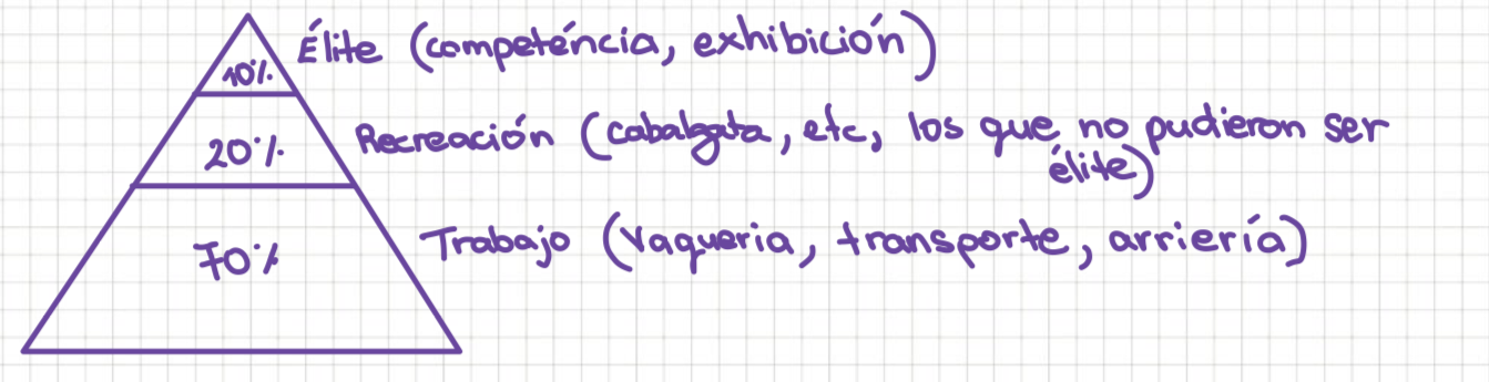 <ul><li><p>70%: trabajo (transporte, arriería, etc.)</p></li><li><p>20%: recreación (cabalgatas)</p></li><li><p>10%: élite (competencia, equitación, y exhibición)</p></li></ul><p></p>