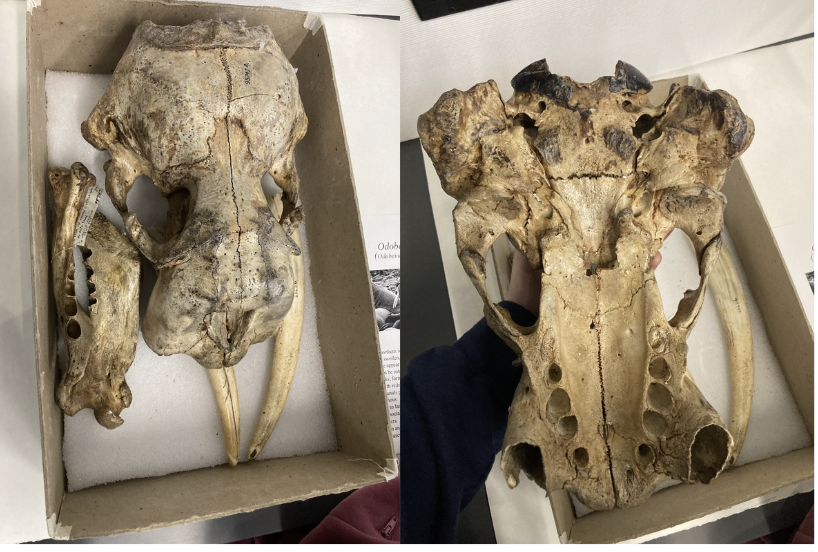 <p>What is this?</p>