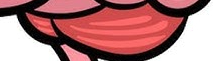 <p>What is this part of the brain?</p>
