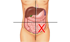 <p>left ureter, left fallopian tube, left ovary, part of descending colon, and sigmoid colon</p>