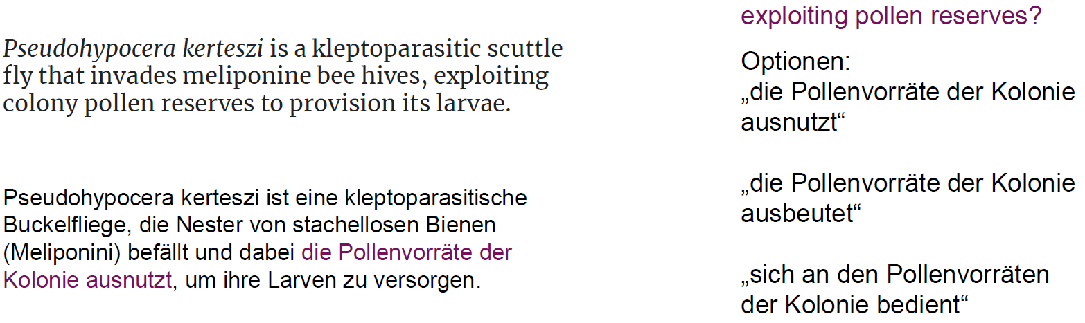 <ul><li><p><span style="color: purple;"><strong><mark data-color="purple" style="background-color: purple; color: inherit;">= Reduktion der Entscheidungsalternativen</mark></strong></span></p></li><li><p><span style="color: red;"><strong><mark data-color="red" style="background-color: red; color: inherit;">Kritik</mark></strong></span><strong>:</strong> fraglich, inwiefern das ne Strategie ist, da <span style="color: red;"><mark data-color="red" style="background-color: red; color: inherit;">Übersetzen an sich = reiner Entscheidungsprozess</mark></span></p></li></ul><p></p><p><strong>Beispiele siehe Bild</strong></p><p></p>