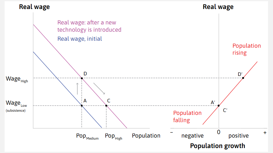 <p>-Note that the <em>real wage </em>and population growth is <em>neutral </em>and unchanging, but the <em>absolute </em>population is higher than its <em>original level</em></p>
