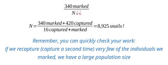 <ul><li><p>Remember, you can quickly check your work</p><ul><li><p>if we recapture (capture a second time) a lot of the individuals we marked, we have a smaller population size closer to our original sample size</p></li></ul></li></ul><p></p>