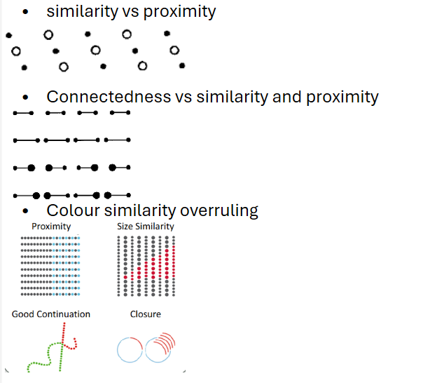 <ul><li><p><span><strong>Similarity vs proximity</strong> — similar items may group even if far apart, or close items may group even if dissimilar.</span></p></li><li><p><span><strong>Connectedness</strong> beats both similarity and proximity — if two items are physically linked, we see them as one group.</span></p></li><li><p><span><strong>Colour similarity can override</strong> other cues because colour is a strong grouping signal</span></p></li></ul><p></p>