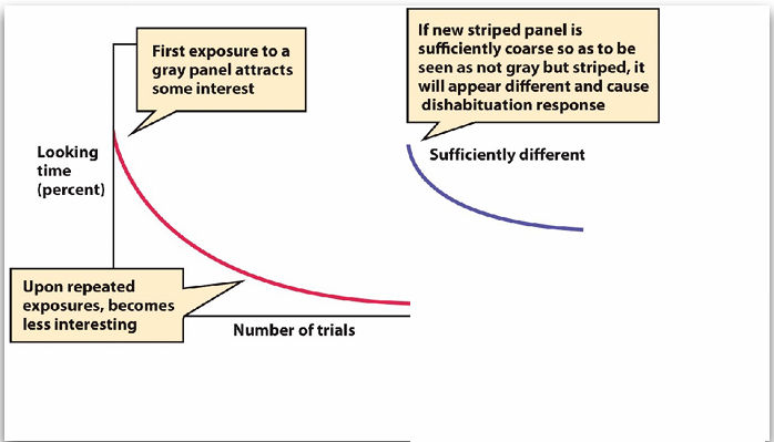 <p>habituatie = minder lang kijken</p><p>nieuwe stimulus ziet anders = dishabituatie = weer kijken</p><p></p><p></p><p>vaak zelfde stimulus 1 nieuwe » nog steeds kort kijken = niet zien dat ze een verschil kunnen maken. (zou wel kunnen maar geen bewijs)</p><p></p><p>afbeelding ; grijzen paneel</p><p>grijs grijs grijs ; gestreept</p><p></p><p>word ook dmv neuroscience bekeken </p>